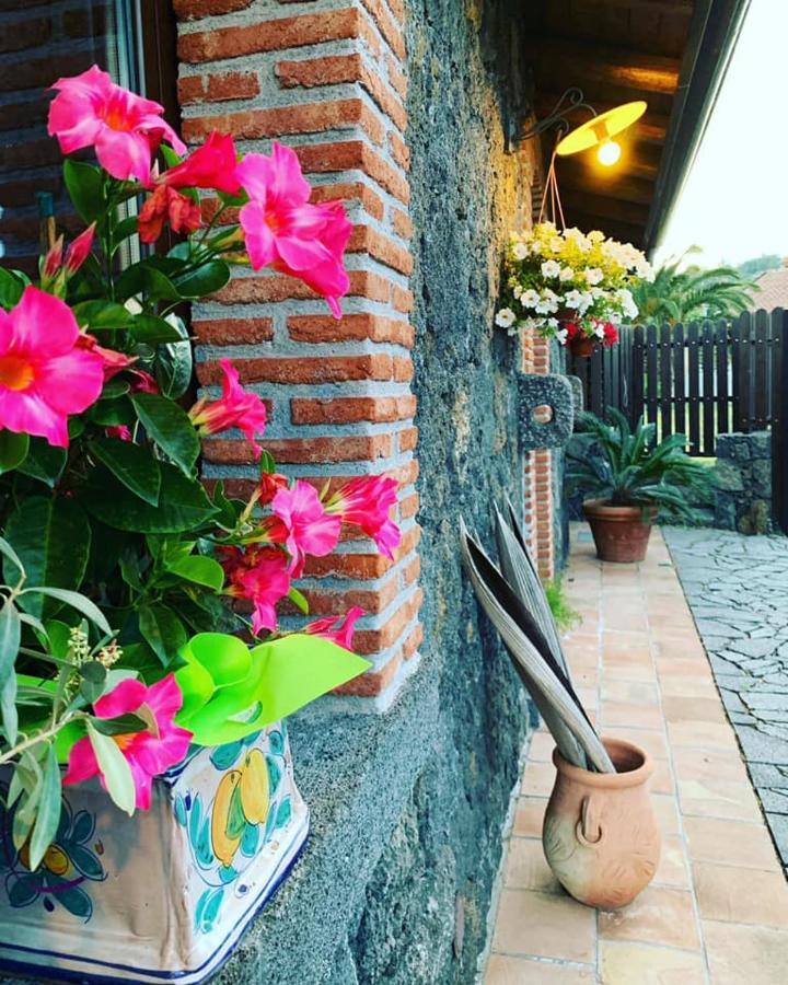 Il Tiglio Apartman Viagrande Kültér fotó
